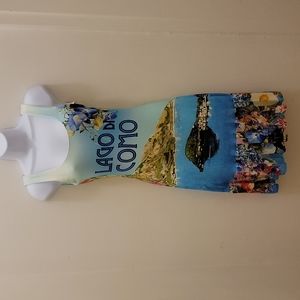 Sauvage Lago Di Como Graphic Dress